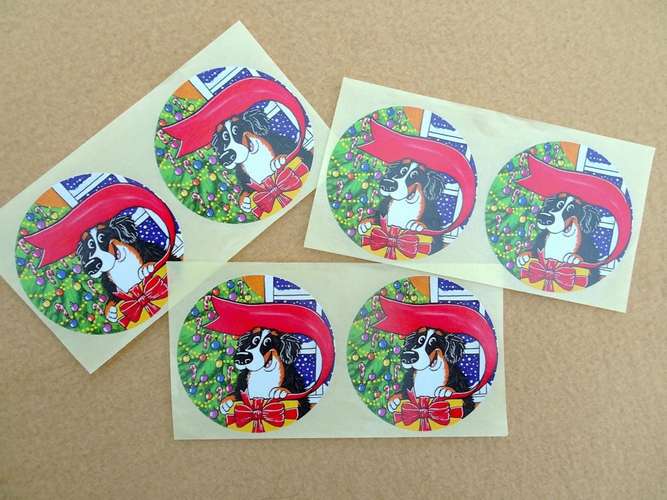 Hundeauslaufgebiet-Dogs Comfort (Julia Jochen)-Bild