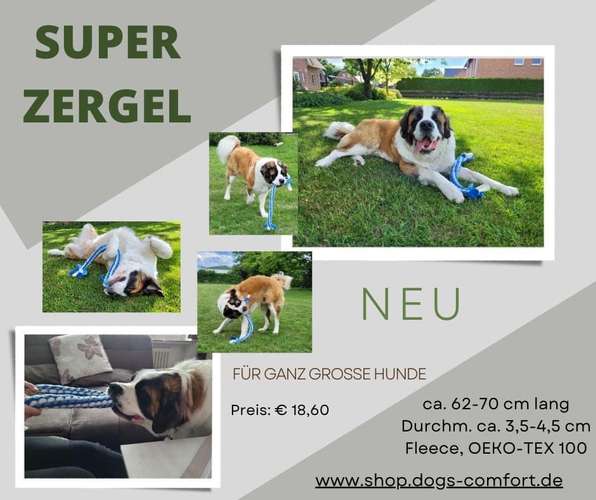 Hundeauslaufgebiet-Dogs Comfort (Julia Jochen)-Bild