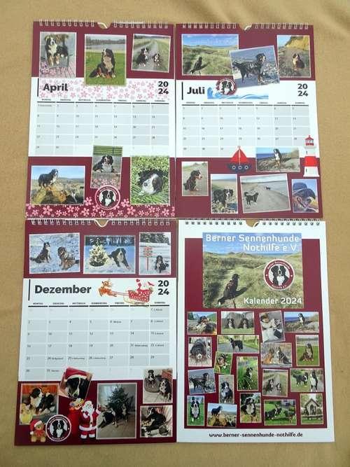 Hundeauslaufgebiet-Dogs Comfort (Julia Jochen)-Bild