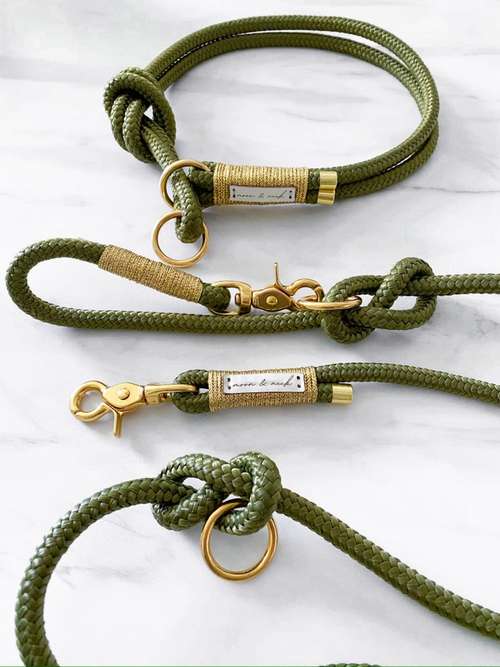 Hundeauslaufgebiet-moon&neck-Bild