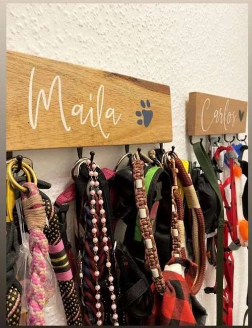 Hundeauslaufgebiet-Holzigartigshop-Bild