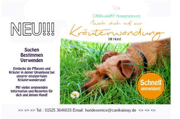 Hundeauslaufgebiet-CANIkaiWAY Hundeservice - Mensch & Hund Coaching & Dogwalking Erfurt-Bild