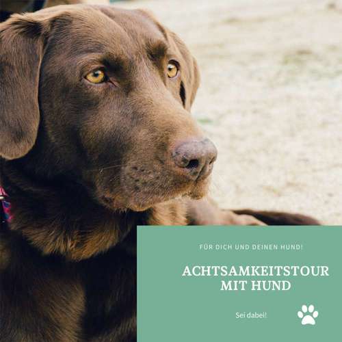 Hundeauslaufgebiet-CANIkaiWAY Hundeservice - Mensch & Hund Coaching & Dogwalking Erfurt-Bild