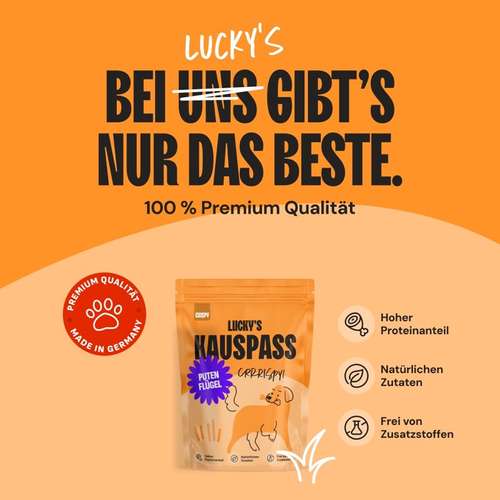 Hundeauslaufgebiet-Lucky Heaven Ranch-Bild