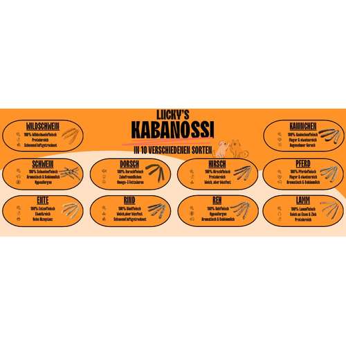 Hundeauslaufgebiet-Lucky Heaven Ranch-Bild