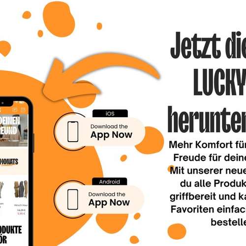 Hundeauslaufgebiet-Lucky Heaven Ranch-Bild