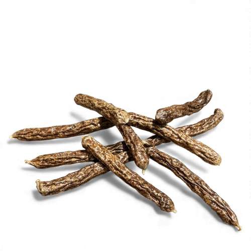 Hundeauslaufgebiet-Lucky Heaven Ranch-Bild