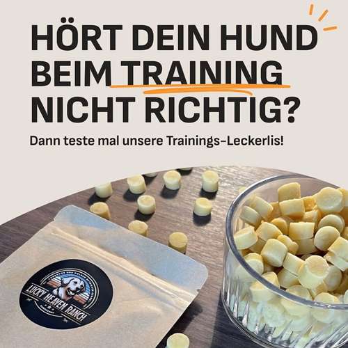 Hundeauslaufgebiet-Lucky Heaven Ranch-Bild