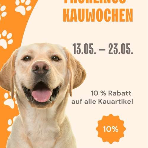 Hundeauslaufgebiet-Lucky Heaven Ranch-Bild