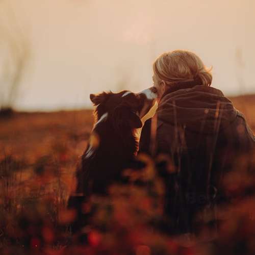 Hundeauslaufgebiet-Svenja Münzer Fotografie-Bild