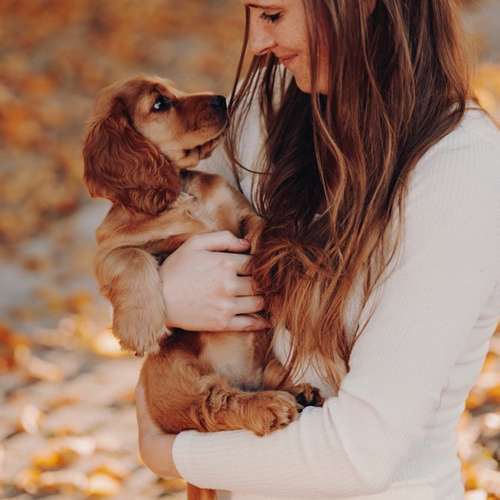 Hundeauslaufgebiet-Svenja Münzer Fotografie-Bild