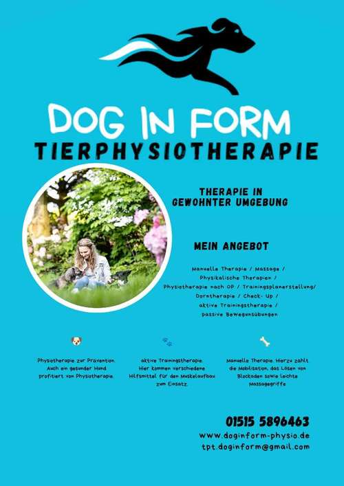 Hundeauslaufgebiet-Tierphysiotherapie Dog in Form-Bild