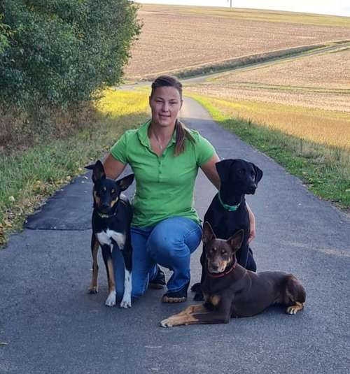 Hundeauslaufgebiet-Hundeschule-Dogroots-Bild