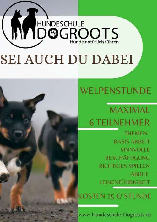 Hundeauslaufgebiet-Hundeschule-Dogroots-Bild