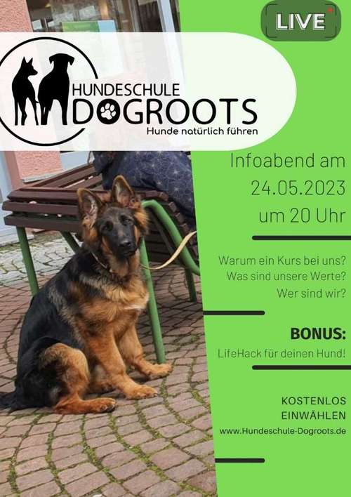 Hundeauslaufgebiet-Hundeschule-Dogroots-Bild