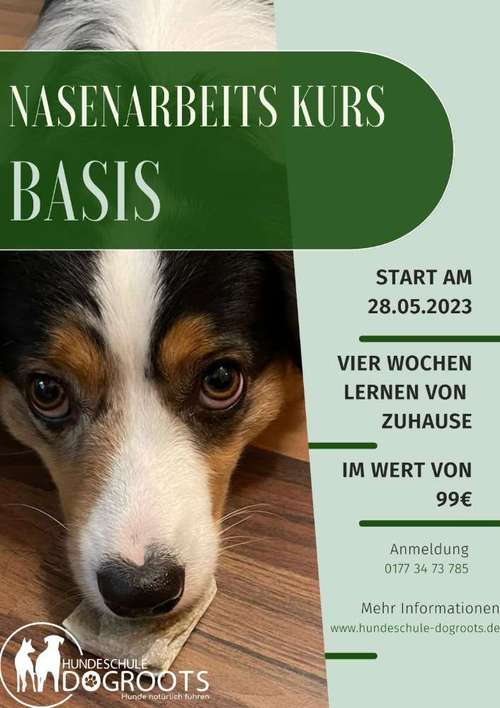 Hundeauslaufgebiet-Hundeschule-Dogroots-Bild