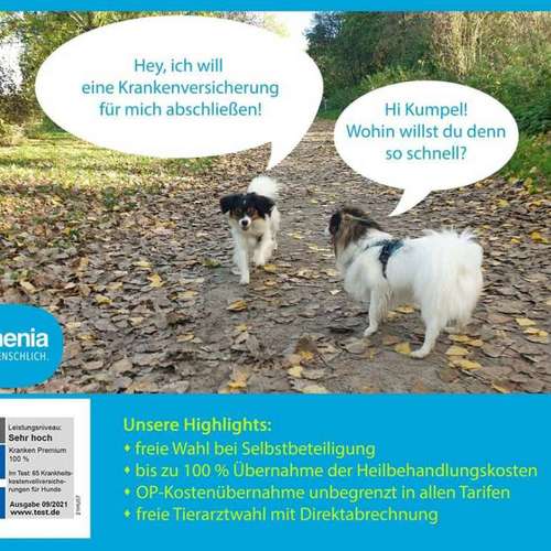 Hundeauslaufgebiet-Tierversicherungen - Kristin Novakowsky-Bild