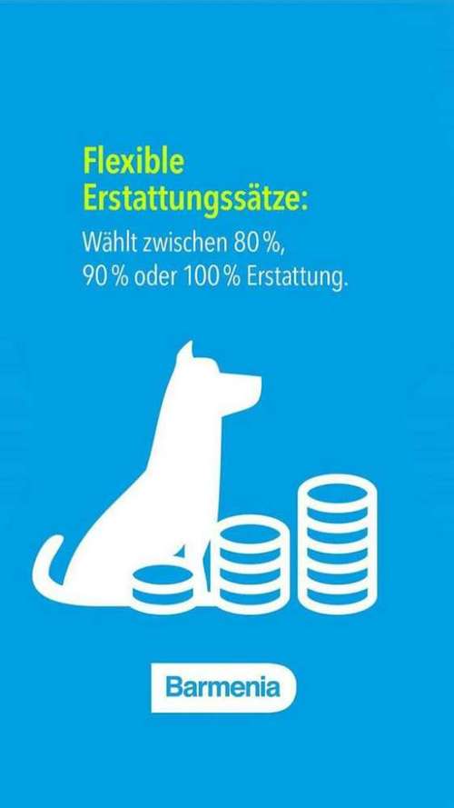 Hundeauslaufgebiet-Tierversicherungen - Kristin Novakowsky-Bild