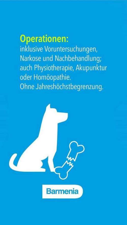 Hundeauslaufgebiet-Tierversicherungen - Kristin Novakowsky-Bild