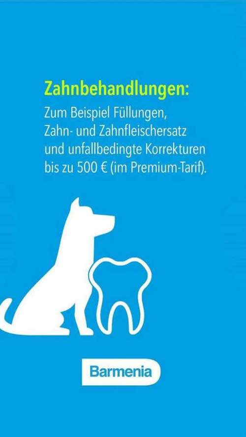 Hundeauslaufgebiet-Tierversicherungen - Kristin Novakowsky-Bild