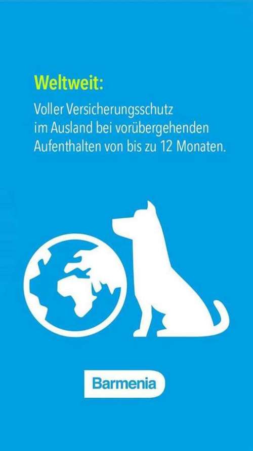 Hundeauslaufgebiet-Tierversicherungen - Kristin Novakowsky-Bild