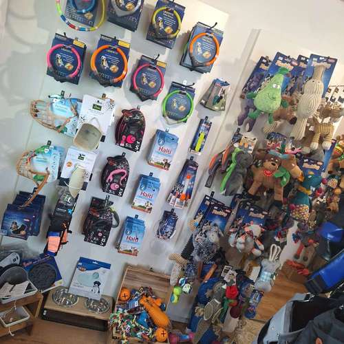 Hundeauslaufgebiet-Marla's Hundeglück-Bild