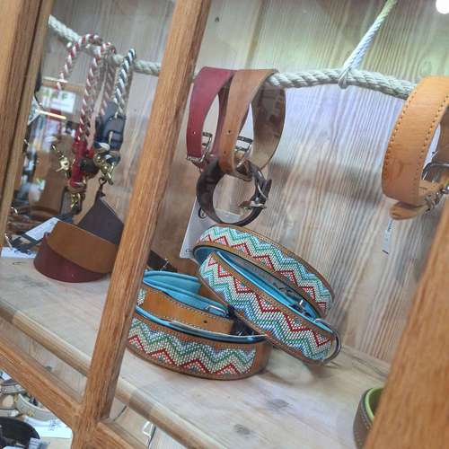 Hundeauslaufgebiet-Marla's Hundeglück-Bild