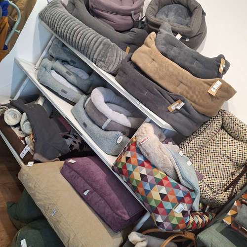 Hundeauslaufgebiet-Marla's Hundeglück-Bild