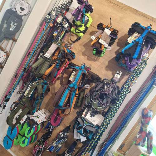 Hundeauslaufgebiet-Marla's Hundeglück-Bild