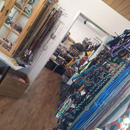 Hundeauslaufgebiet-Marla's Hundeglück-Bild