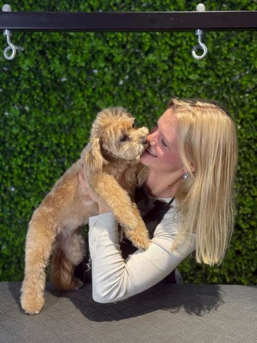 Hundeauslaufgebiet-immerdar - für alle Felle-Bild