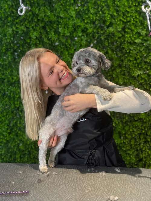 Hundeauslaufgebiet-immerdar - für alle Felle-Bild