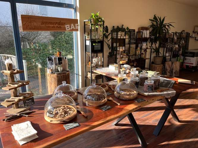 Hundeauslaufgebiet-immerdar - für alle Felle-Bild