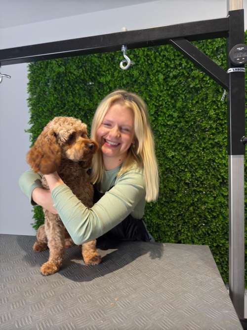 Hundeauslaufgebiet-immerdar - für alle Felle-Bild