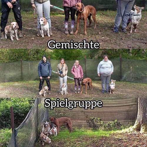 Hundeauslaufgebiet-Kathi UnderDog(s)-Bild