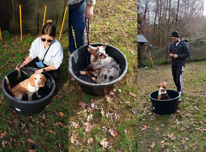 Hundeauslaufgebiet-Kathi UnderDog(s)-Bild