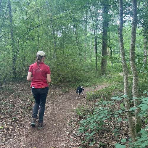 Hundeauslaufgebiet-Hundeschule "Spring ins Feld"-Bild