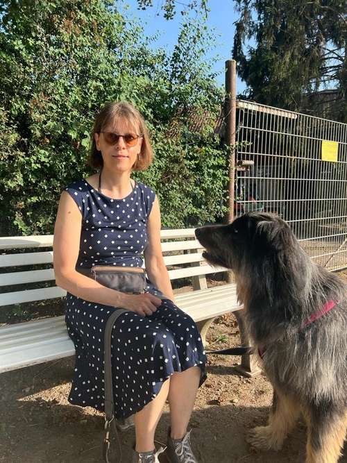 Hundeauslaufgebiet-Hundeschule "Spring ins Feld"-Bild