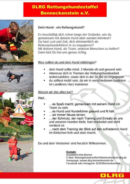 Hundeauslaufgebiet-DLRG Rettungshundestaffel Benneckenstein e. V.-Bild