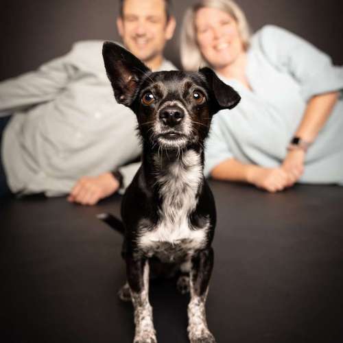 Hundeauslaufgebiet-SK FOTOWERK-Bild