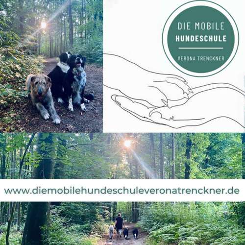 Hundeauslaufgebiet-Die Mobile Hundeschule Verona Trenckner-Bild