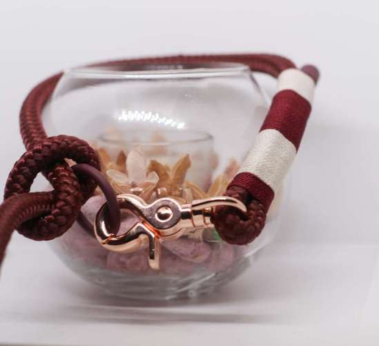 Hundeauslaufgebiet-Auriparacordlidesign-Bild