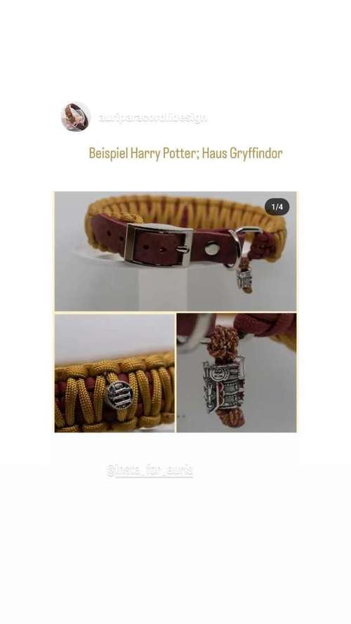 Hundeauslaufgebiet-Auriparacordlidesign-Bild