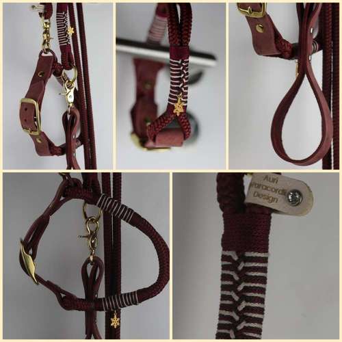 Hundeauslaufgebiet-Auriparacordlidesign-Bild