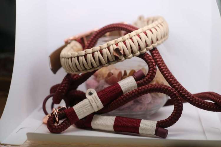 Hundeauslaufgebiet-Auriparacordlidesign-Bild