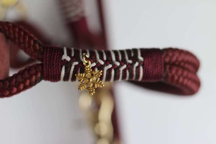 Hundeauslaufgebiet-Auriparacordlidesign-Bild