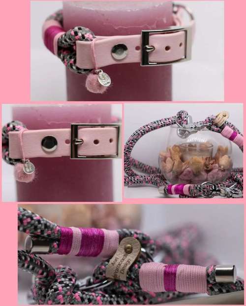 Hundeauslaufgebiet-Auriparacordlidesign-Bild