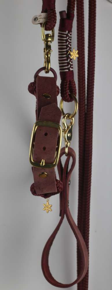 Hundeauslaufgebiet-Auriparacordlidesign-Bild