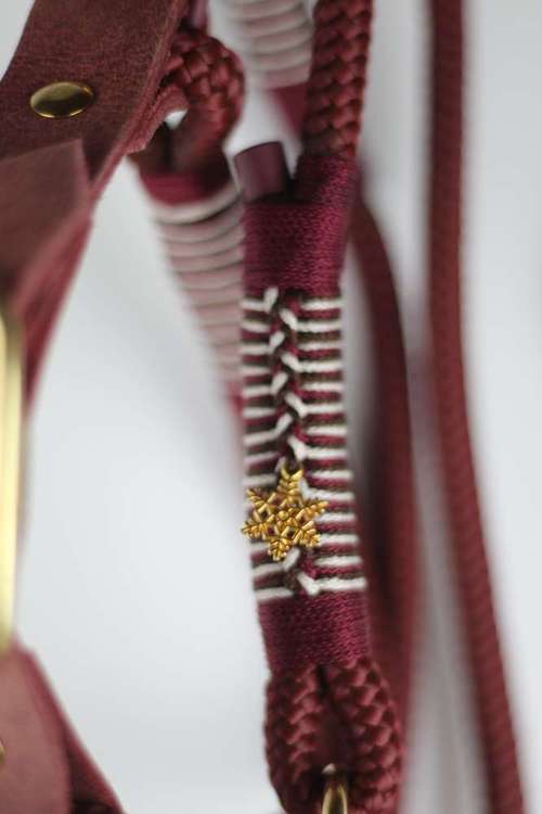 Hundeauslaufgebiet-Auriparacordlidesign-Bild