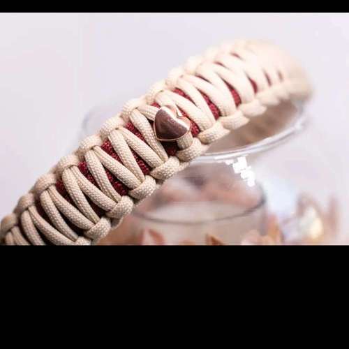 Hundeauslaufgebiet-Auriparacordlidesign-Bild